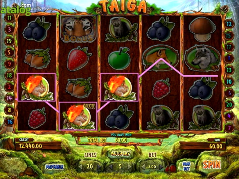 720% Deposit Match Bonus at Wunderino Casino