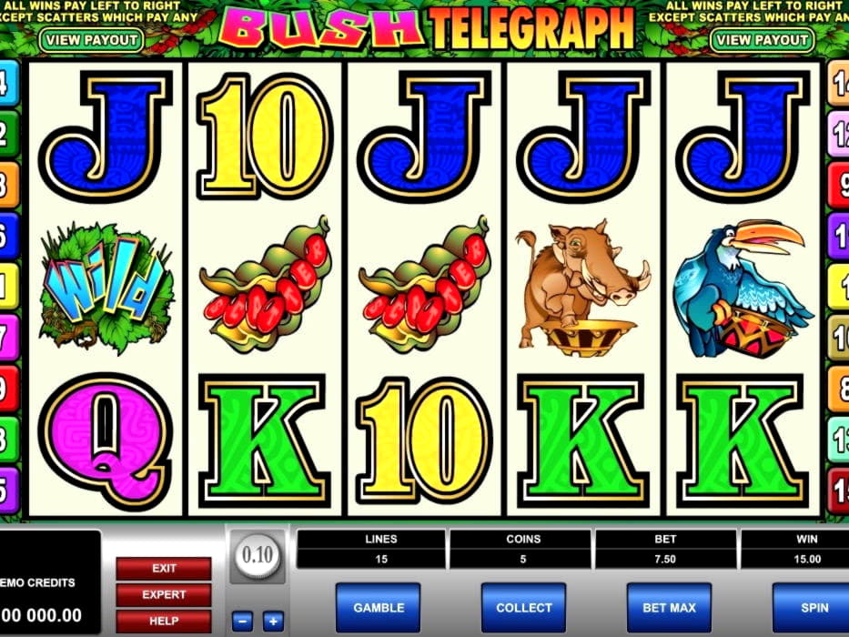 225 FREE SPINS at CasiPlay Casino
