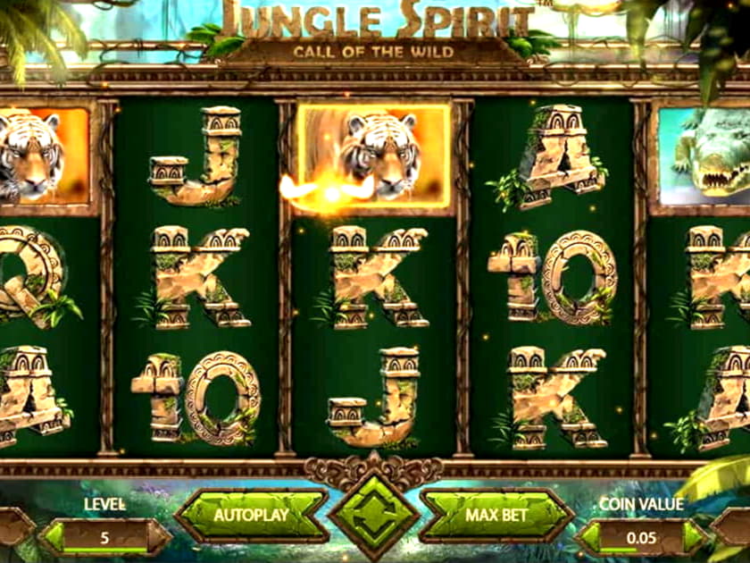 $4275 no deposit casino bonus at Wunderino Casino