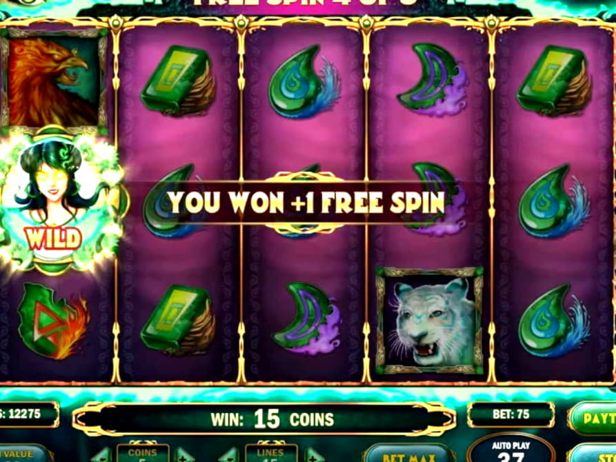 100 FREE SPINS at Malina Casino