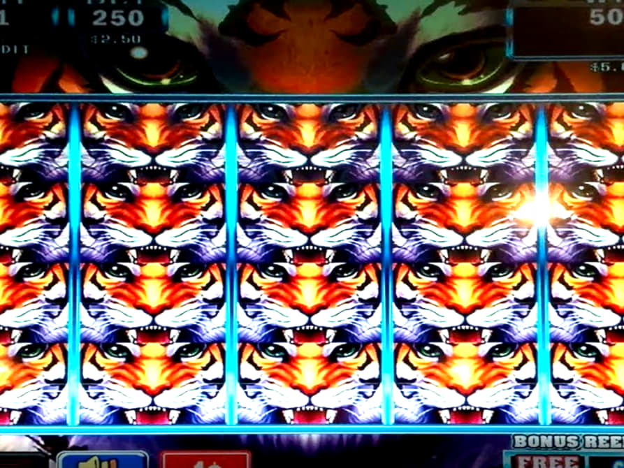 $390 Casino Tournament at Cashmio Casino