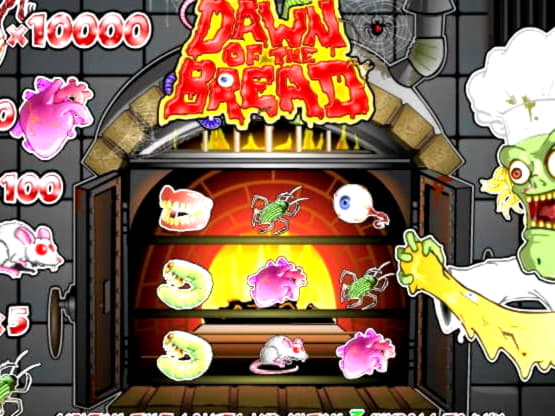 800% Match Bonus Casino at Cashmio Casino