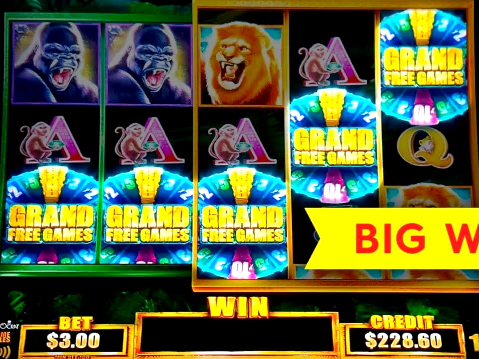 $825 Casino tournaments freeroll at CasiPlay Casino
