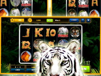 EUR 1150 NO DEPOSIT BONUS CODE at Rizk Casino