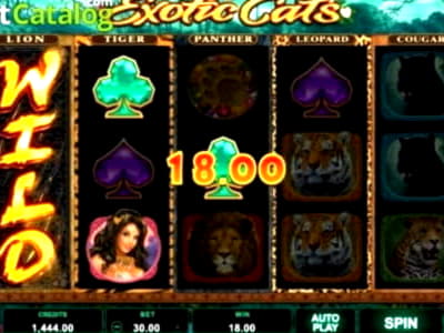 205% Match Bonus Casino at Wunderino Casino
