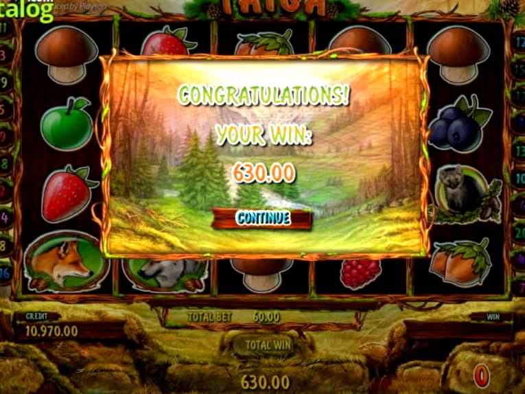 $1165 NO DEPOSIT BONUS CASINO at Dream Dubai Casino